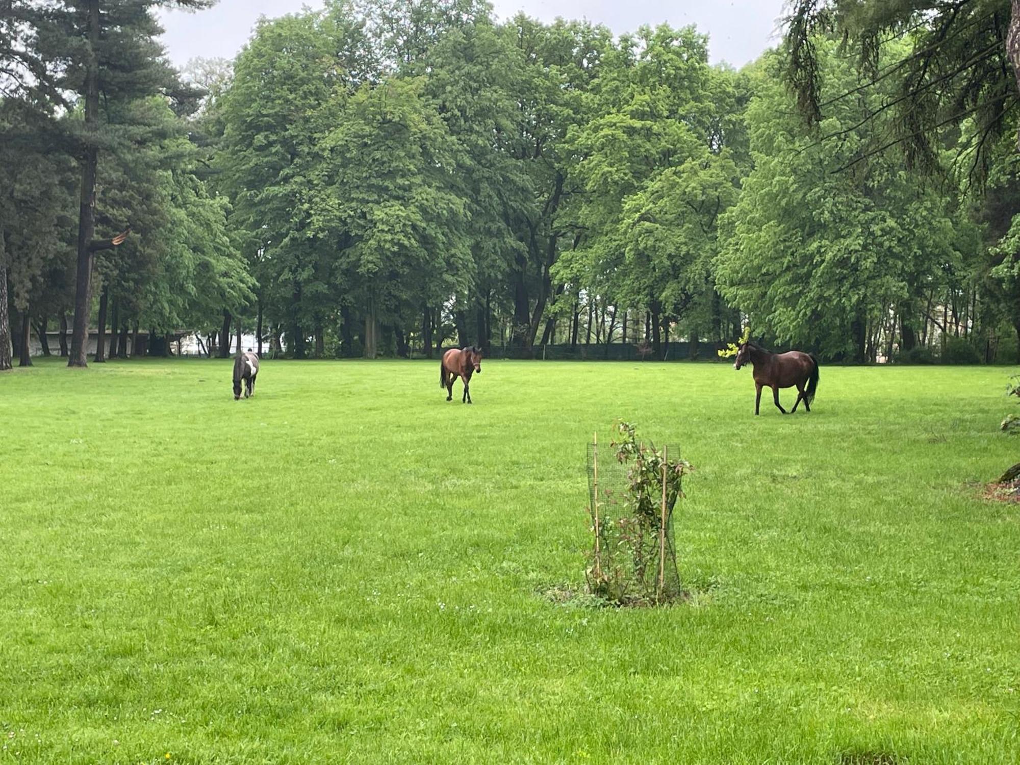 Palac Zbylitowskich Zbylitowska Gora Kültér fotó
